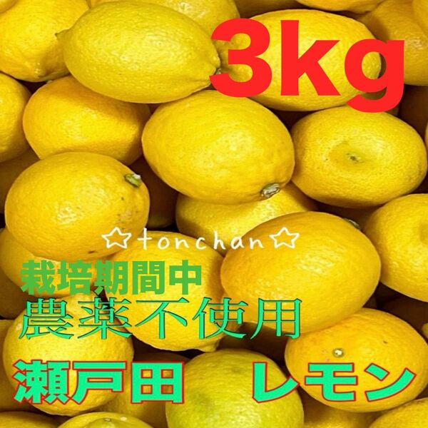 国産 瀬戸田レモン