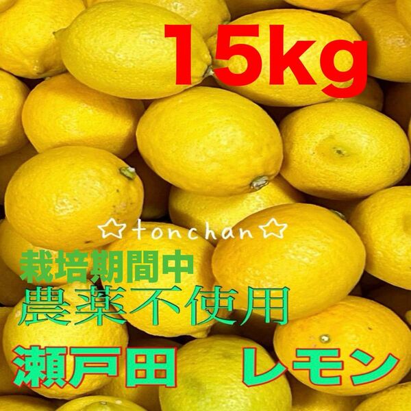 国産 瀬戸田レモン