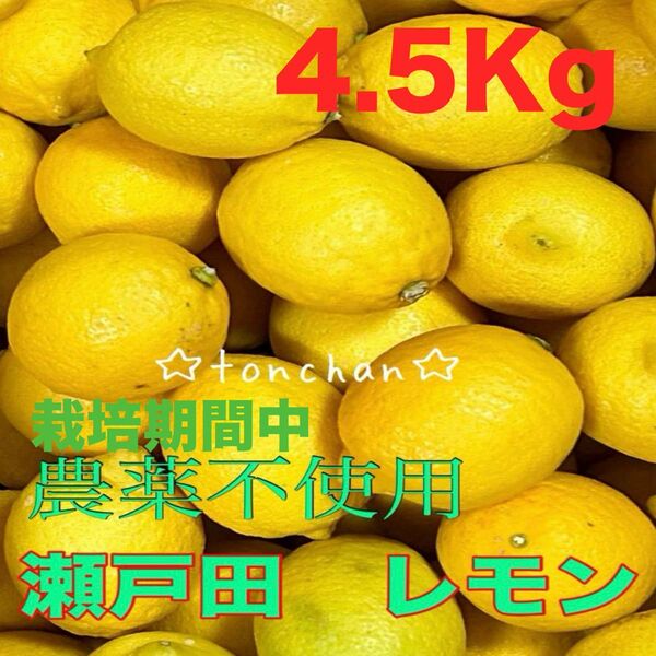 国産 瀬戸田レモン