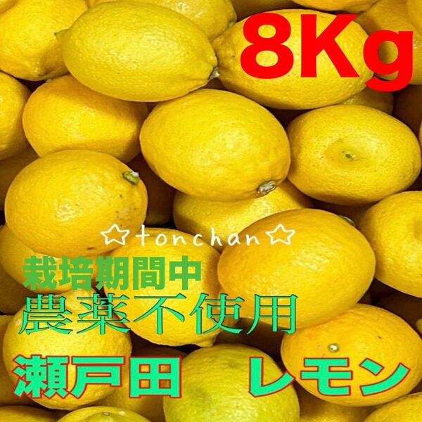 国産 瀬戸田レモン