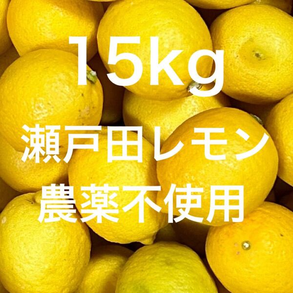 国産 瀬戸田レモン
