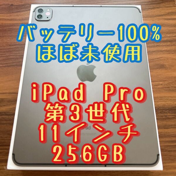 Apple iPad Pro 第3世代 11インチ 256GB スペースグレイ