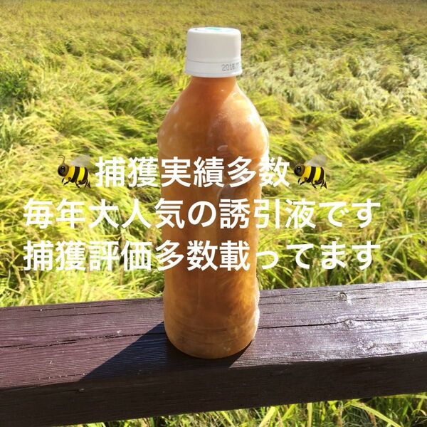 カラー写真説明書付き! 日本蜜蜂誘引液500ml ミツバチ 巣箱 蜜蜂 分蜂 蜜蝋 ルアー 捕獲 誘引剤 金稜辺 キンリョウヘン