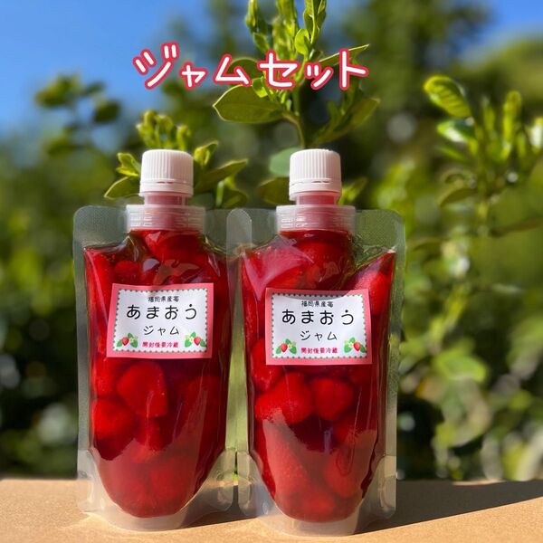 あまおうジャム 180g2個 口付パウチ入りで扱いやすい 福岡県産いちご