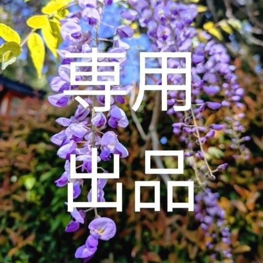 おまとめ出品ページ