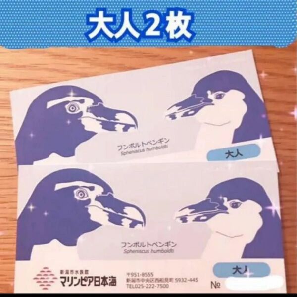 マリンピア日本海 新潟市水族館 チケット 2枚