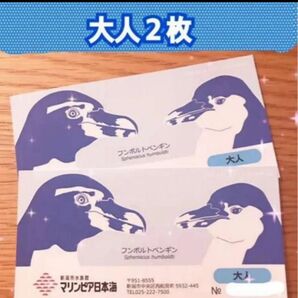 マリンピア日本海 フンボルトペンギン 大人チケット 2枚