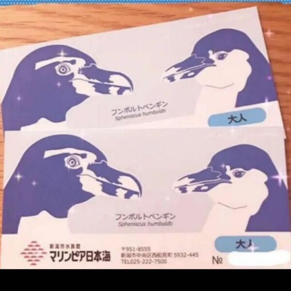マリンピア日本海 入場券 大人2枚 チケット 新潟市水族館