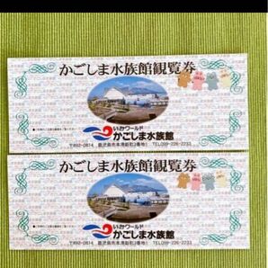 かごしま水族館 観覧券 2枚 鹿児島水族館 いおワールド