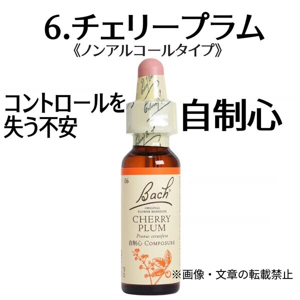 6.チェリープラム(10ml) 植物グリセリンベースフラワーエッセンスノンアルコールフラワーエッセンスNelsonBach社