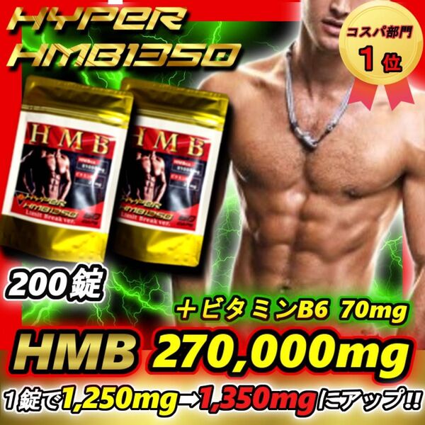 2袋◆27万mg超!ファイラ 鍛神5袋相当HMB量 【プロテイン マーチンアップ