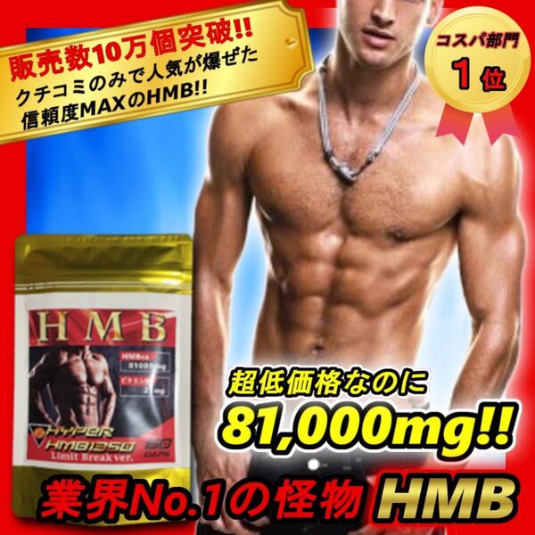 8万mg超! 鍛神 ファイラマッスル2袋弱分HMB含有量【マーチンアップ サプリ