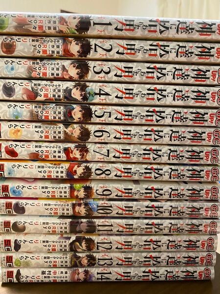 神達に拾われた男 1〜14 (ガンガンコミックスUP!) Roy/原作 蘭々/漫画 中村基/構成 りりんら/キャラクター原案