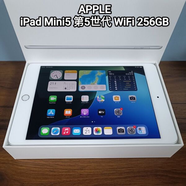 (美品) iPad Mini5 第5世代 WiFi 256GB