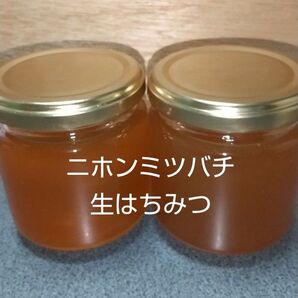 日本ミツバチの生はちみつ 400g (200g×2本)
