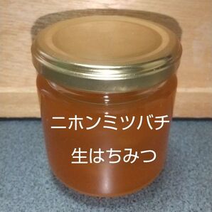 日本ミツバチの生はちみつ 200g