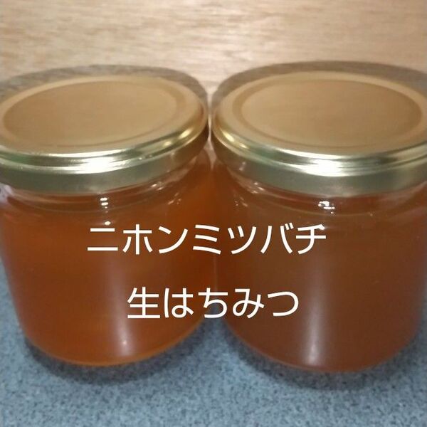 日本ミツバチの生はちみつ 400g (200g×2本)