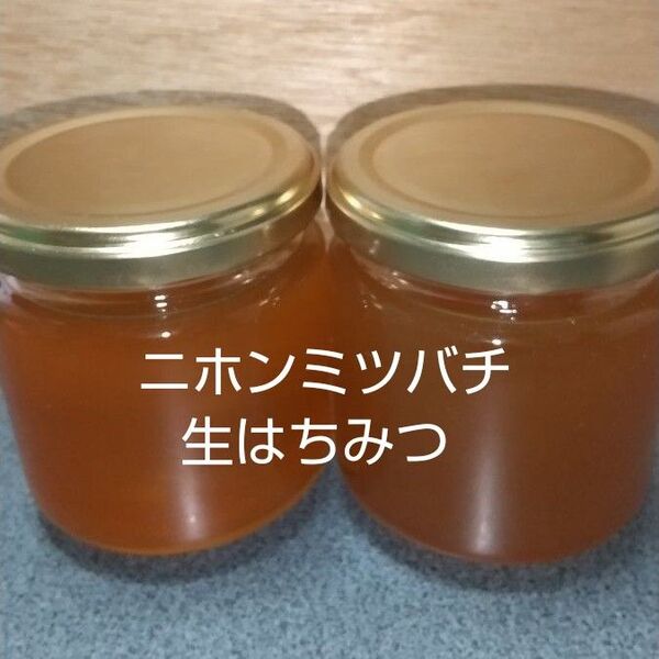 日本ミツバチの生はちみつ 400g (200g×2本)