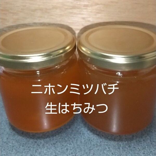 日本ミツバチの生はちみつ 400g (200g×2本)