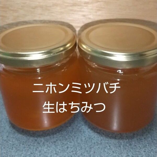 日本ミツバチの生はちみつ 400g (200g×2本)