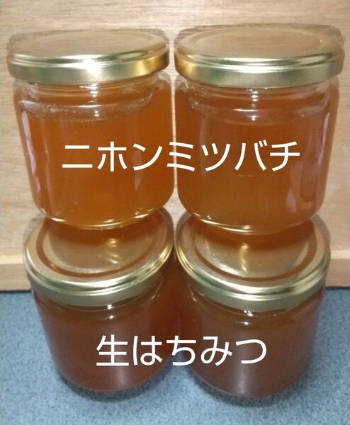 日本ミツバチの生はちみつ 800g (200g×4本)