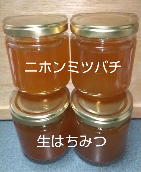 日本ミツバチの生はちみつ 800g (200g×4本)