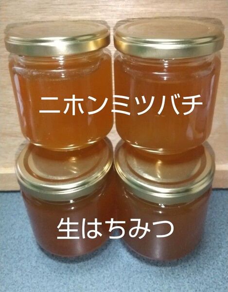 日本ミツバチの生はちみつ 800g (200g×4本)