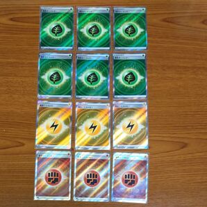 タケルライコex デッキパーツ エネルギーカードSRセット ポケモンカード