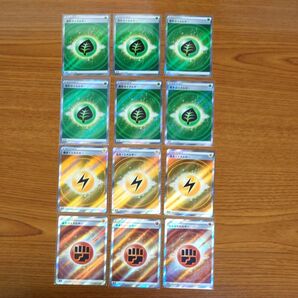 タケルライコex デッキパーツ エネルギーカードSRセット ポケモンカード