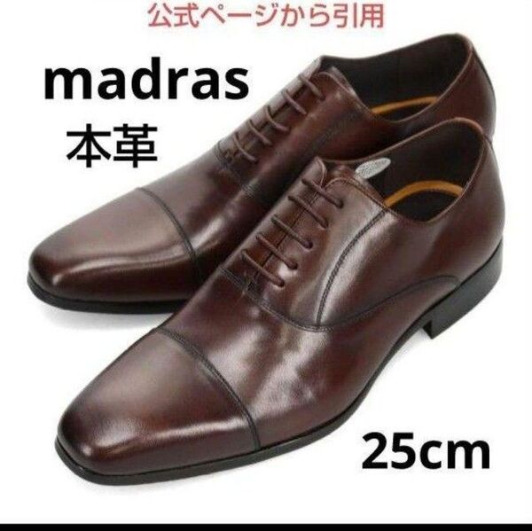 新品18700円☆madras マドラス 革靴 ビジネスシューズ 25cm ダークブラウン 本革 品番dm7271-dbr-250