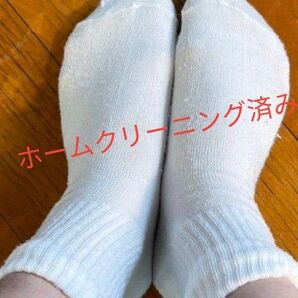 靴下 ソックス