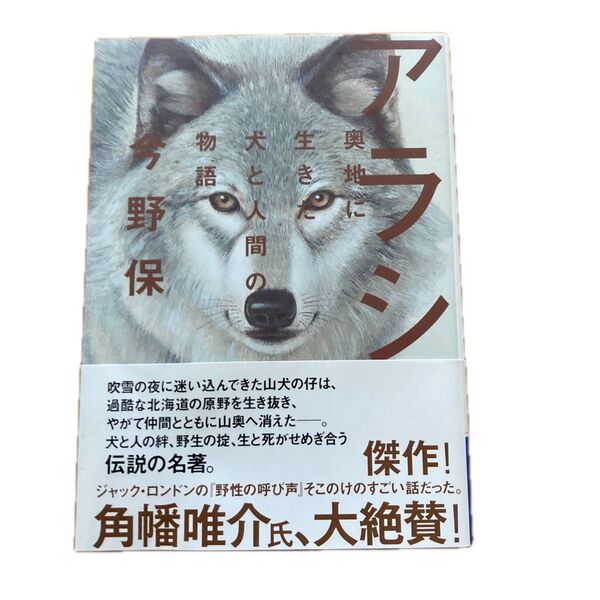 「アラシ 奥地に生きた犬と人間の物語」今野保著 2024初版第一刷 山と溪谷社刊