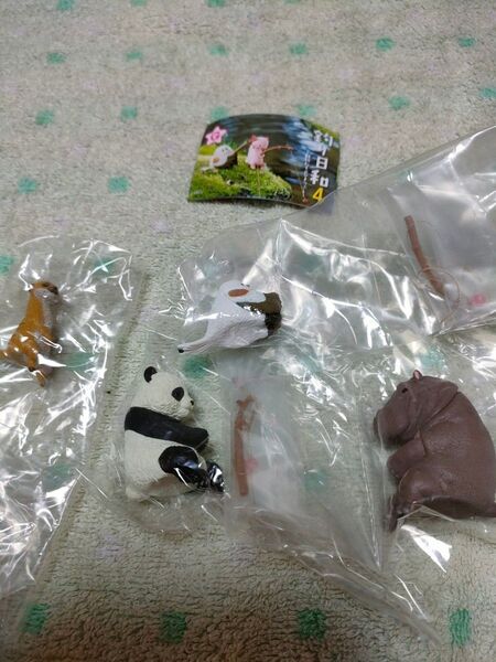 釣り日和4 どれでも2体(ブック1つ付きます)