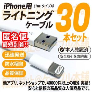 ライトニングケーブル LightningタイプA typeA iPhone USB充電器 Appleアップル純正品互換 30本