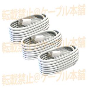 ライトニングケーブル Lightning端子 タイプA typeA iPhone USB充電器 Appleアップル純正品互換
