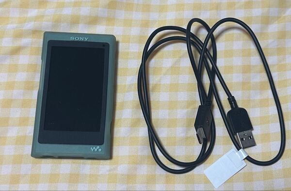 SONY WALKMAN NW-A45 ホライズングリーン 16GB 本体 デジタルオーディオプレーヤー ウォークマン ソニー