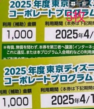 コーポレートプログラム利用券 東京ディズニーリゾート ディズニーシー