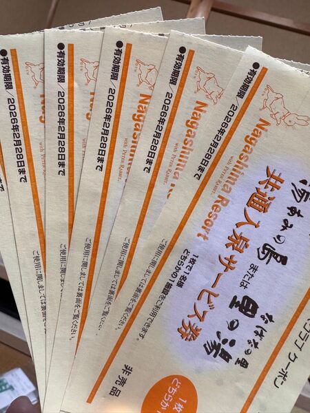 湯あみの島 里の湯 共通入泉サービス券 長島温泉 ナガシマ 6枚