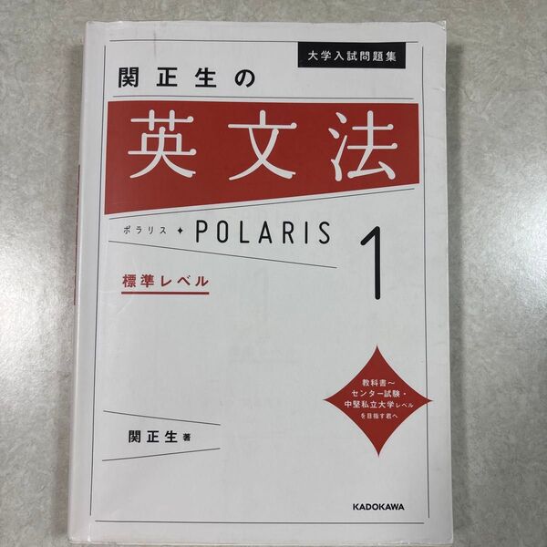 大学入試問題集関正生の英文法ポラリス 1 (大学入試問題集) 関正生/著