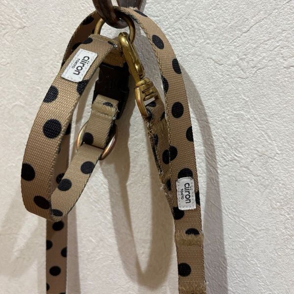 【値下げ】シーロン東京【 ciiron TOKYO 】 首輪&リード Chocolate サイズXS 小型犬