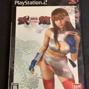 PS2 格闘美神 武龍