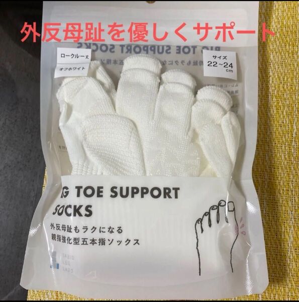 【送料込でお買い得!!】TABIO タビオ LEG LABO 外反母趾サポートソックス オフホワイト 22〜24cm 未使用