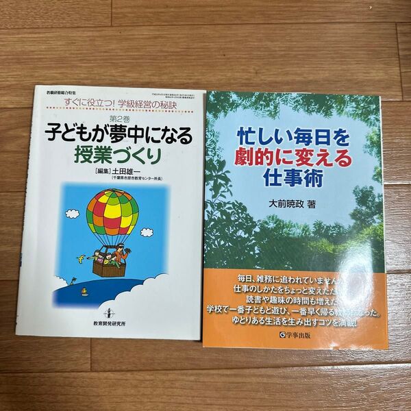 【教員初任者さん必見】教師参考書2冊セット