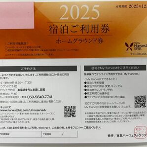 東急ハーヴェストクラブ斑尾ホームグラウンド券1枚