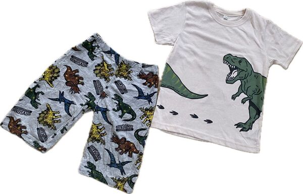 キッズ 子ども服 恐竜 柄 ハーフパンツ ズボン 半ズボン 子供服 半袖 Tシャツ 半袖シャツ 上下セット 男の子 お着替え