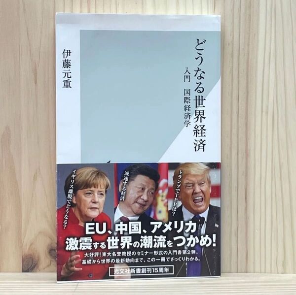 ▼どうなる世界経済 入門国際経済学 伊藤元重 光文社新書 848 帯有り 2016年 初版 中古 【萌猫堂】