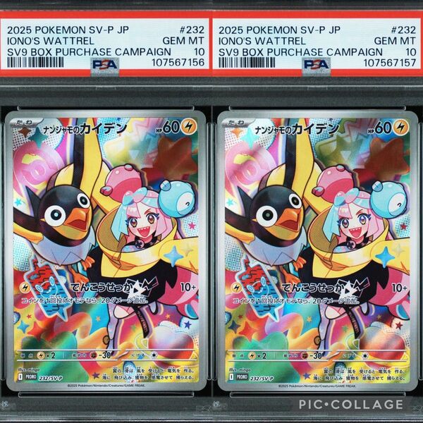 【PSA10連番】ナンジャモのカイデン P (プロモーションカード「拡張パック バトルパートナーズ Box購入キャンペーン」)