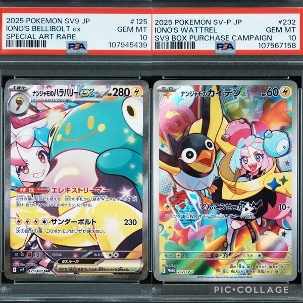 最安【PSA10】ナンジャモのハラバリーex sar ナンジャモのカイデン ar 2枚セット バトルパートナーズ