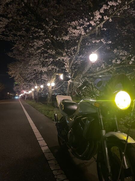 Kawasaki バリオス ZR250A ホワイト