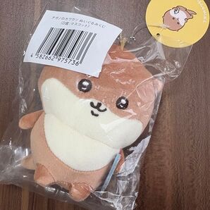 新品未開封 ナガノ カワウソくじ D賞
